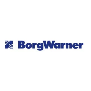 BorgWarner HALDEX OLAJ 850ml + SZŰRŐ